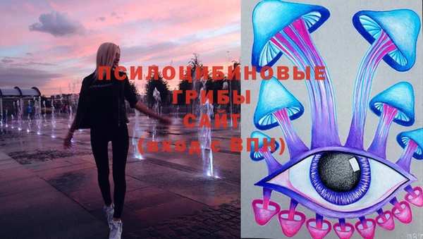 стафф Володарск