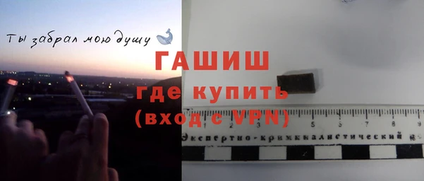 стафф Володарск